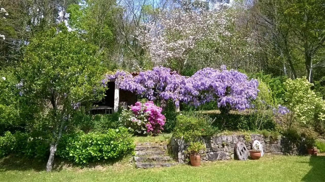 O Lughar Darriba Fogar Natural Gallardo Esterno foto