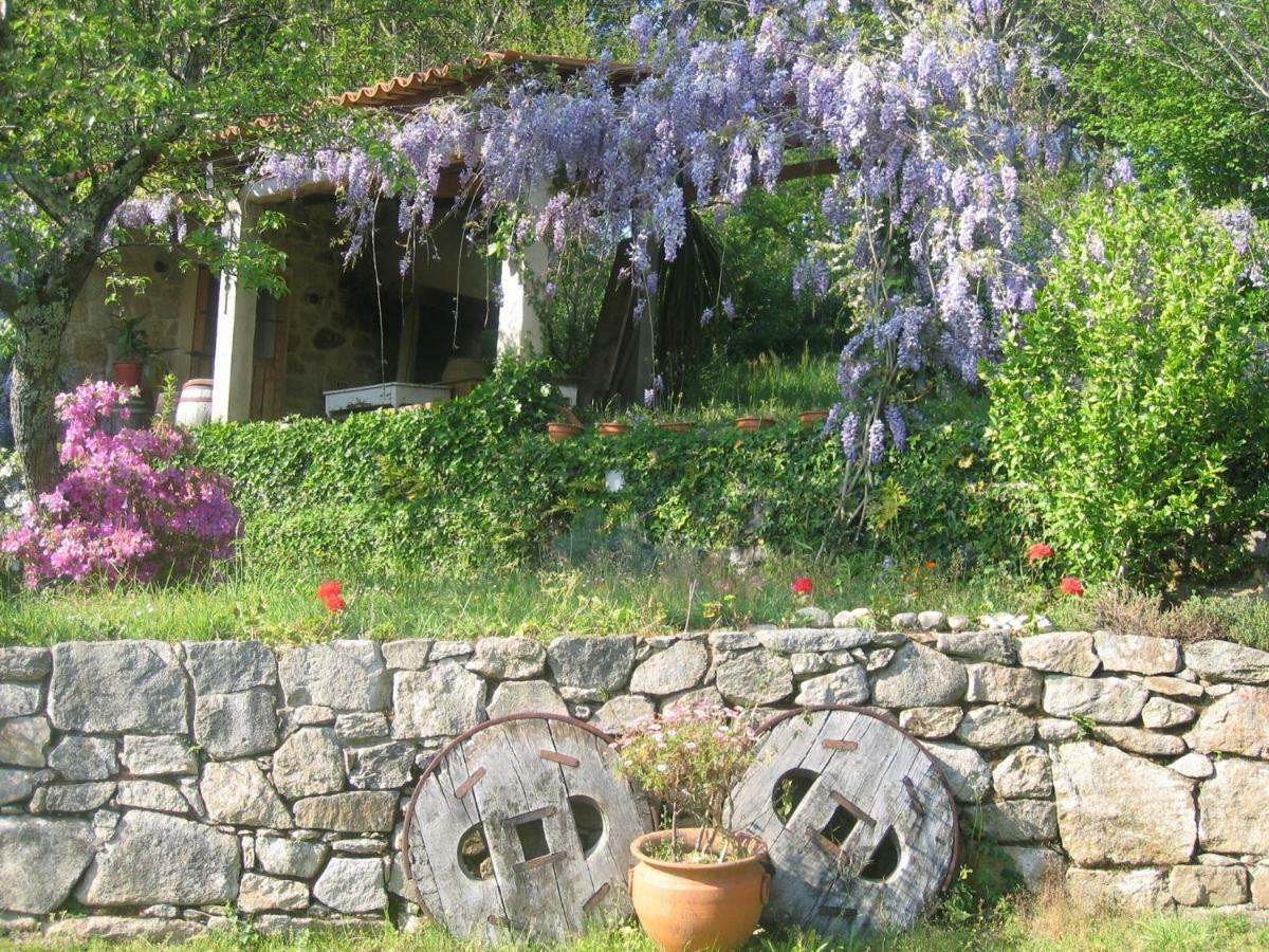 O Lughar Darriba Fogar Natural Gallardo Esterno foto